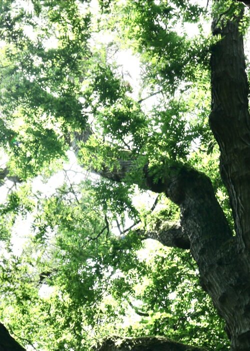 Verdiepingsreeks rond mystiek