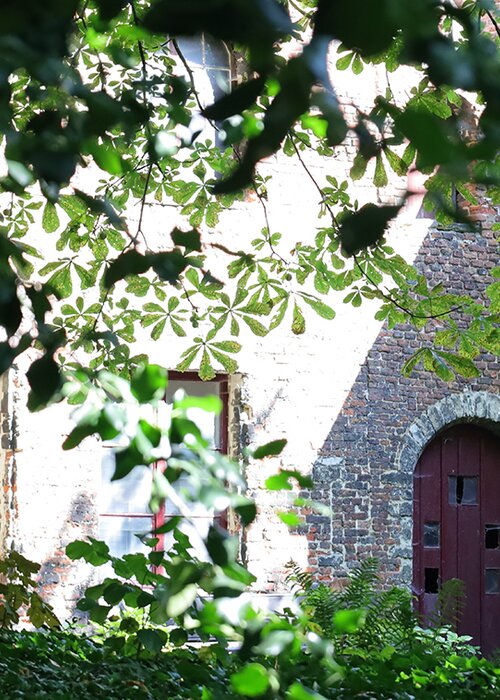 Rondleiding in het karmelietenklooster 22/7 - 10u