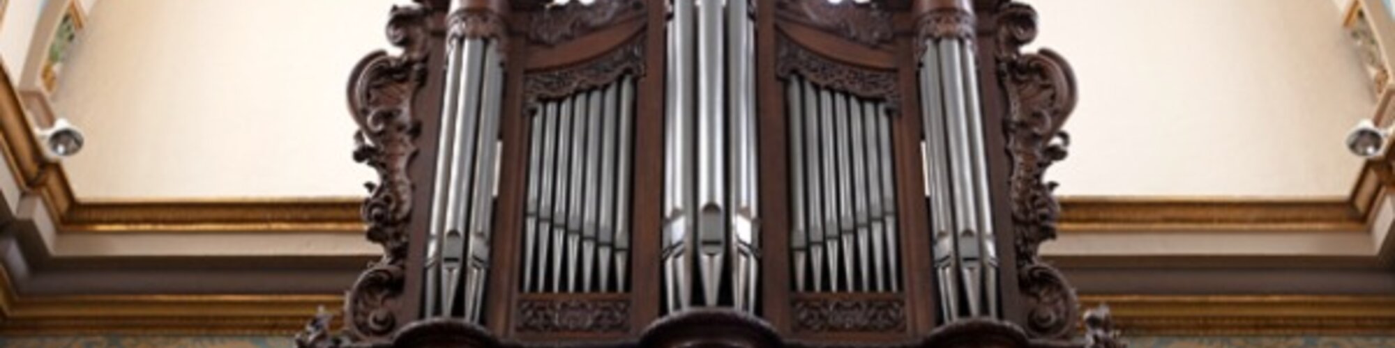 Home Banner