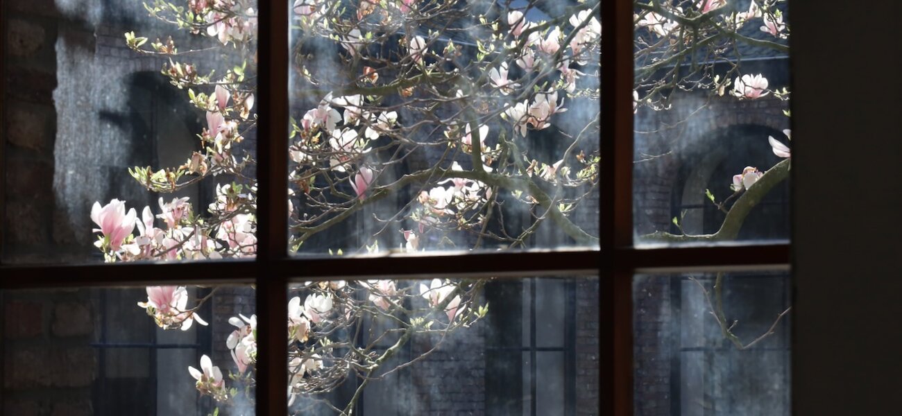 Homilie Pater Piet Hoornaert 22 maart 2026 : 5de zondag van de Veertigdagentijd A