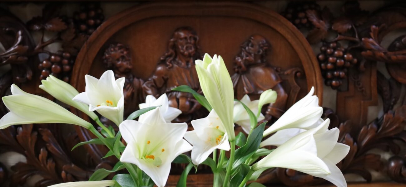 Homilie Pater Paul De Bois 19 april 2026 : 3de Paaszondag