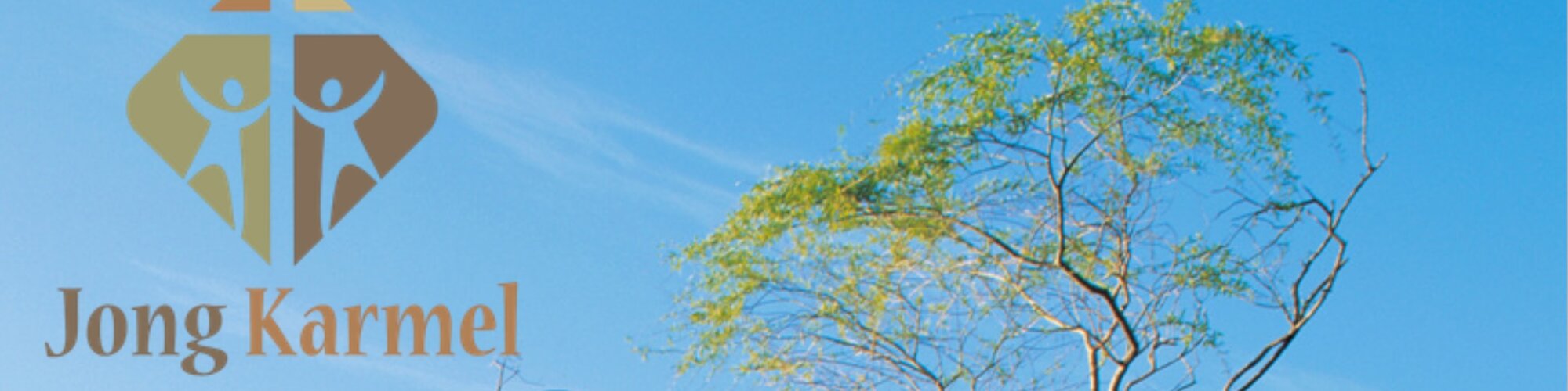 Home Banner