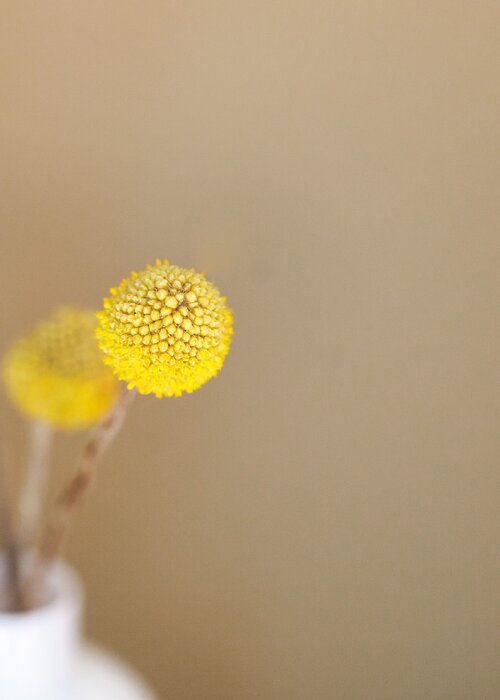 Zomer-zon-reis naar je ziel
