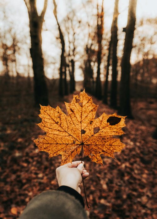 Weekend: Is kiezen verliezen?