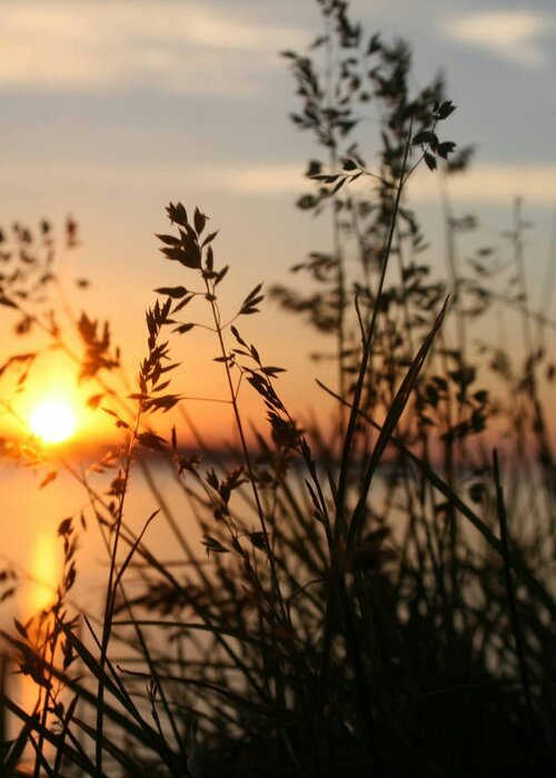Meditatieve ochtendwandeling: zomer