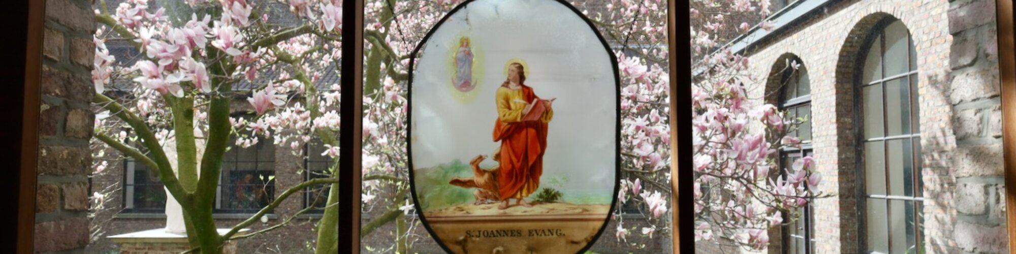 Home Banner